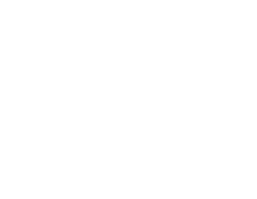 Smart Engines